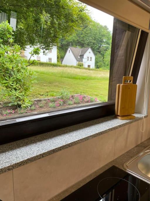 Appartement Zur Wied Oberlahr Экстерьер фото